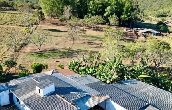 chacara 650 ponte pedra (1)