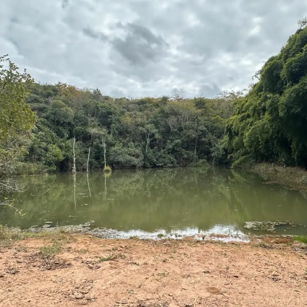 Design sem nome – 2025-09-10T111034.104