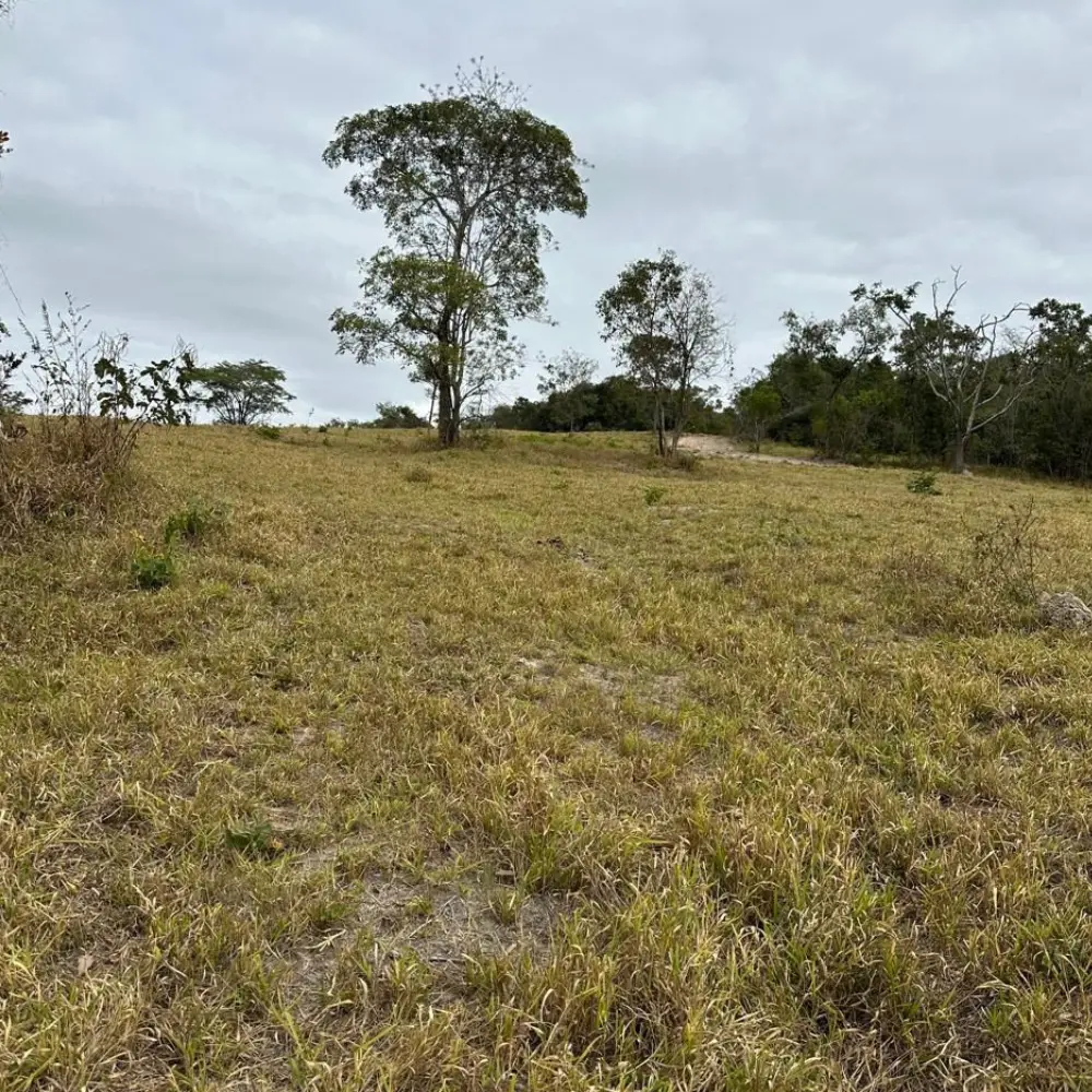 Design sem nome – 2025-09-10T111046.819