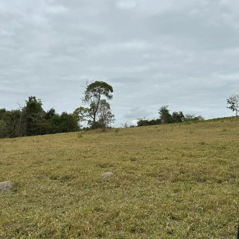 Design sem nome – 2025-09-10T111108.015