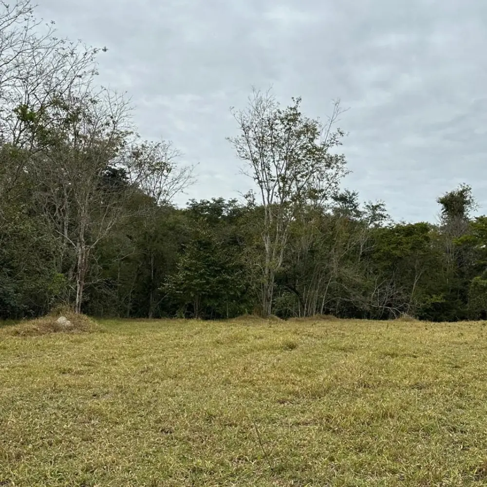 Design sem nome – 2025-09-10T111121.252