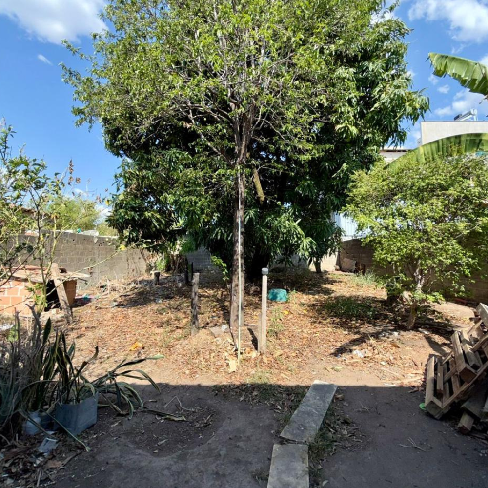 Design sem nome – 2025-10-07T155200.494