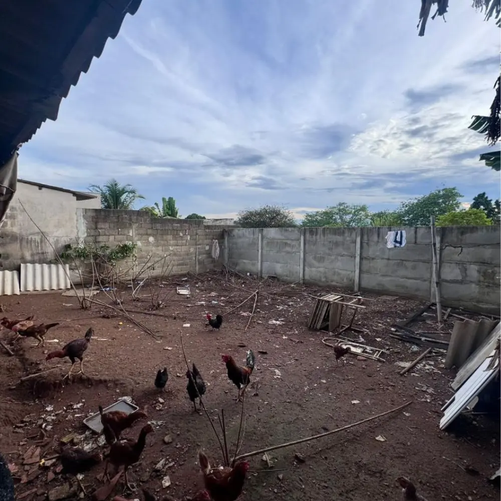 Design sem nome – 2025-11-05T104633.552