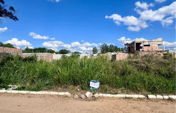 Design sem nome – 2025-11-10T102553.681