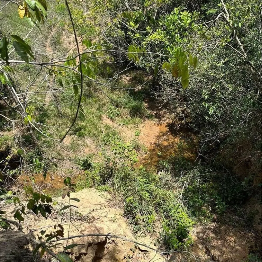 Design sem nome – 2025-12-10T150610.087