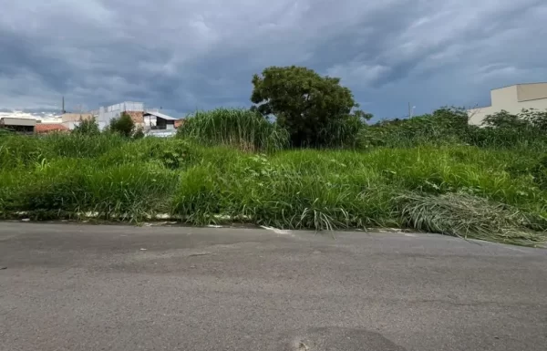 Design sem nome – 2026-01-21T093525.233