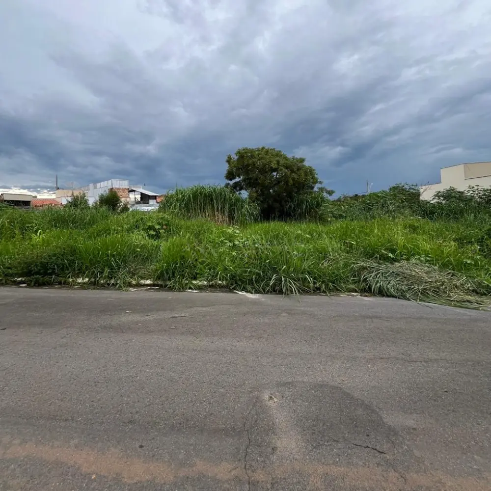 Design sem nome – 2026-01-21T093525.233