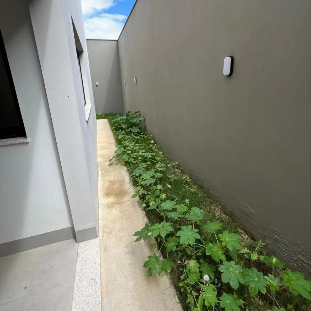 Design sem nome – 2026-01-21T160609.006