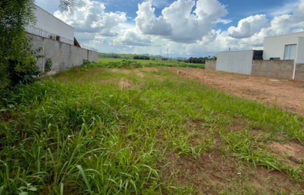 Design sem nome – 2026-01-24T104902.919