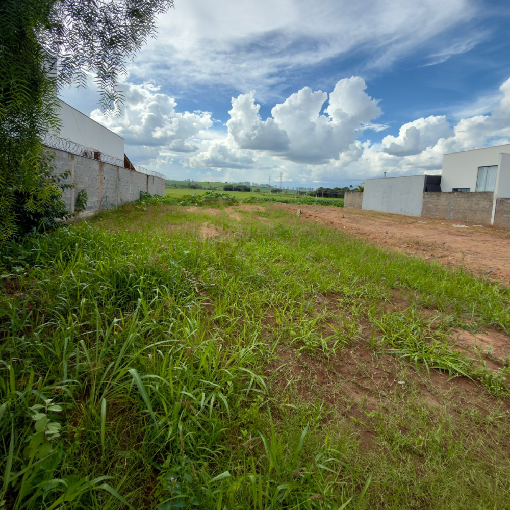 Design sem nome – 2026-01-24T104902.919