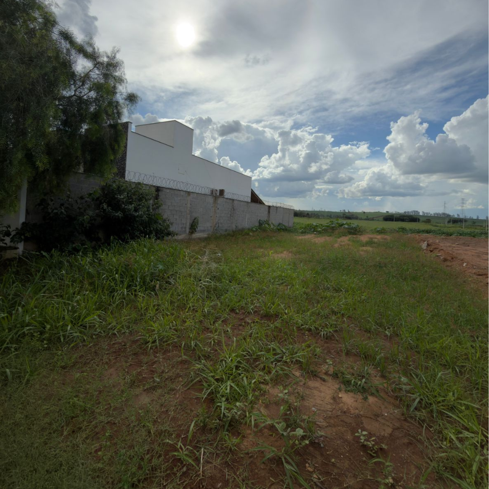 Design sem nome – 2026-01-24T104920.401