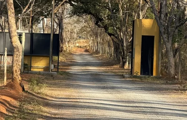 Design sem nome – 2026-01-30T152604.646