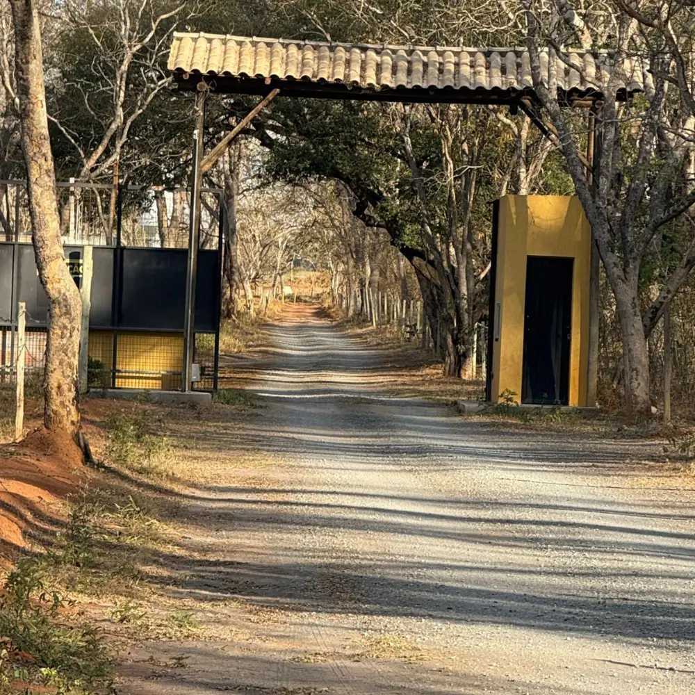 Design sem nome – 2026-01-30T152604.646