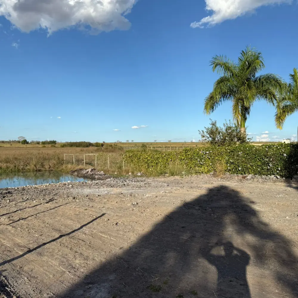 Design sem nome – 2026-01-30T152757.244