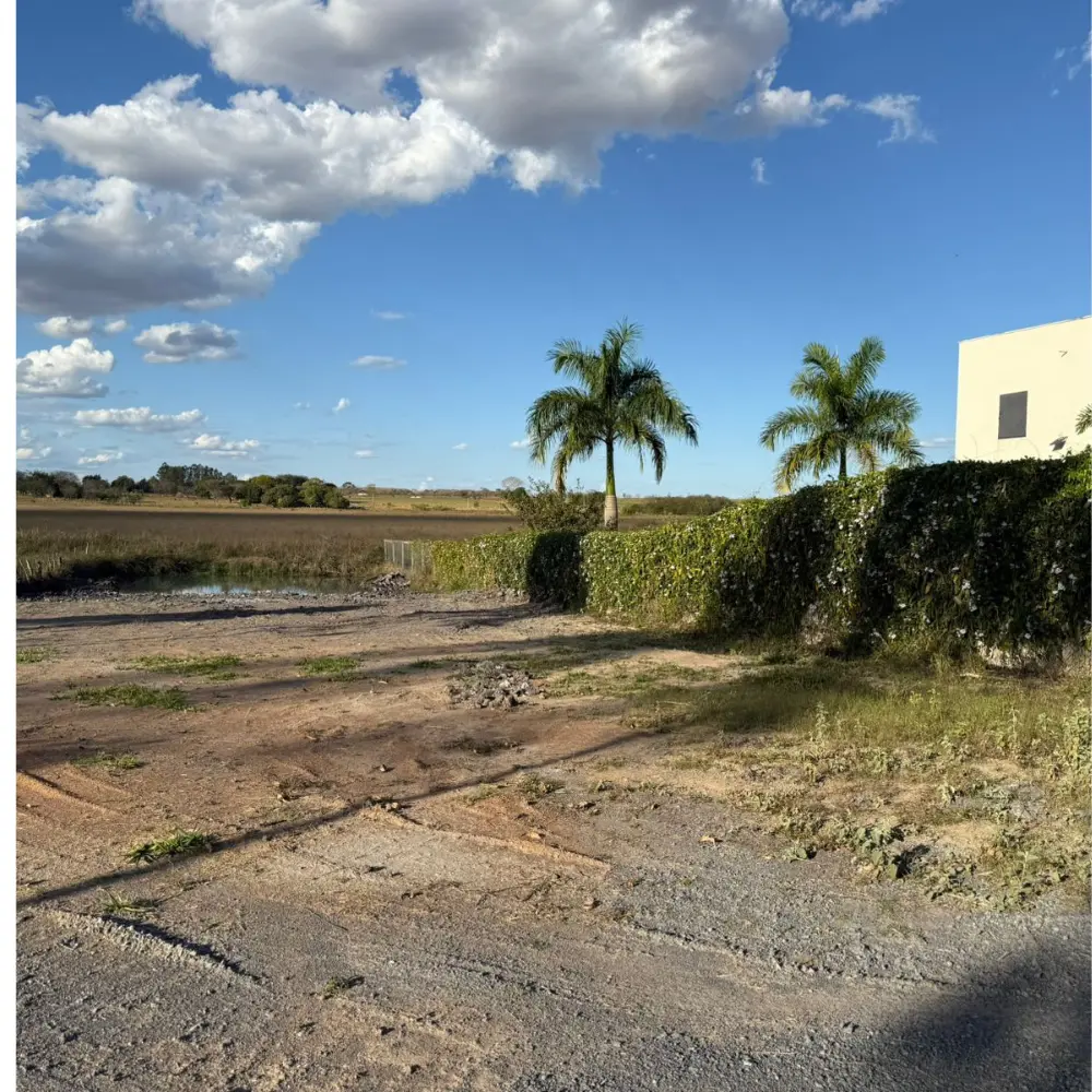 Design sem nome – 2026-01-30T152817.953