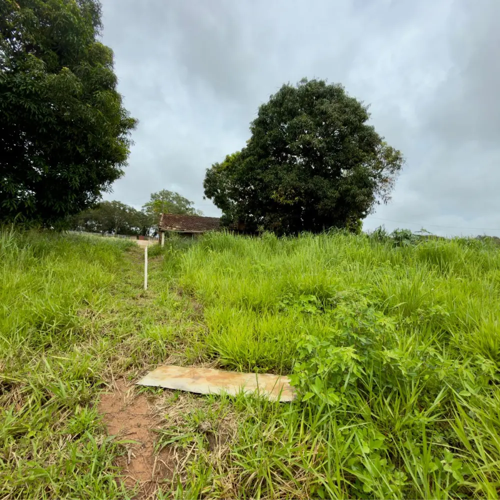 Design sem nome – 2026-01-30T161801.723