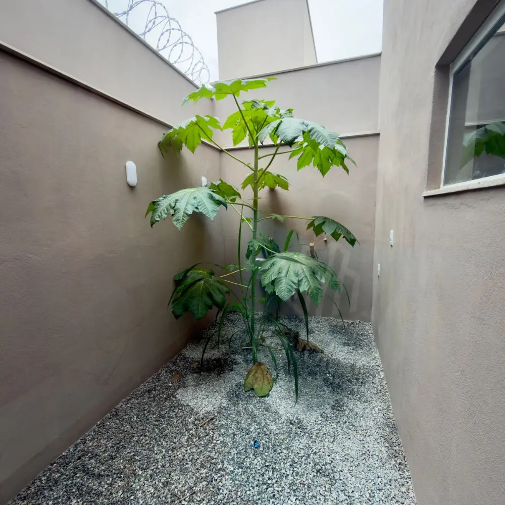 Design sem nome – 2026-02-03T095341.678