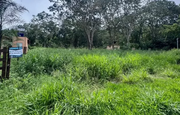 Design sem nome – 2026-02-05T154423.136