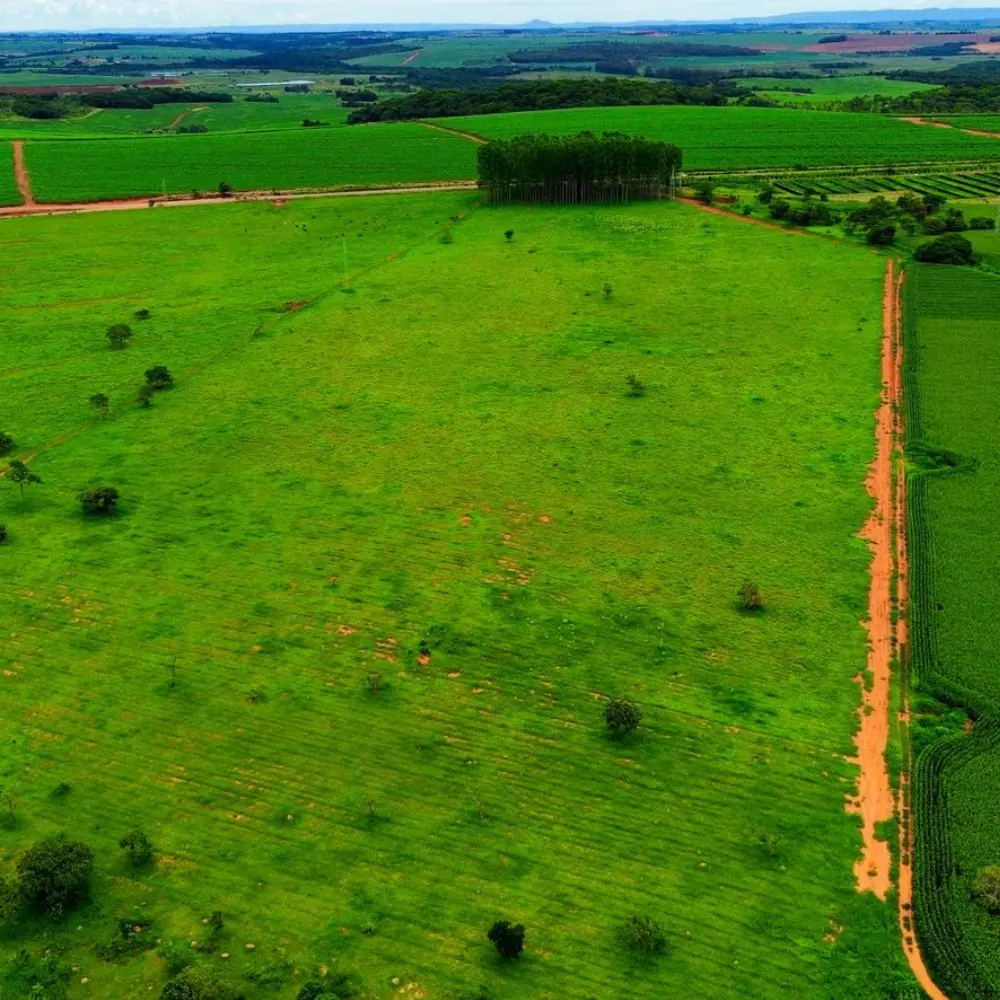 Design sem nome – 2026-02-06T085806.763