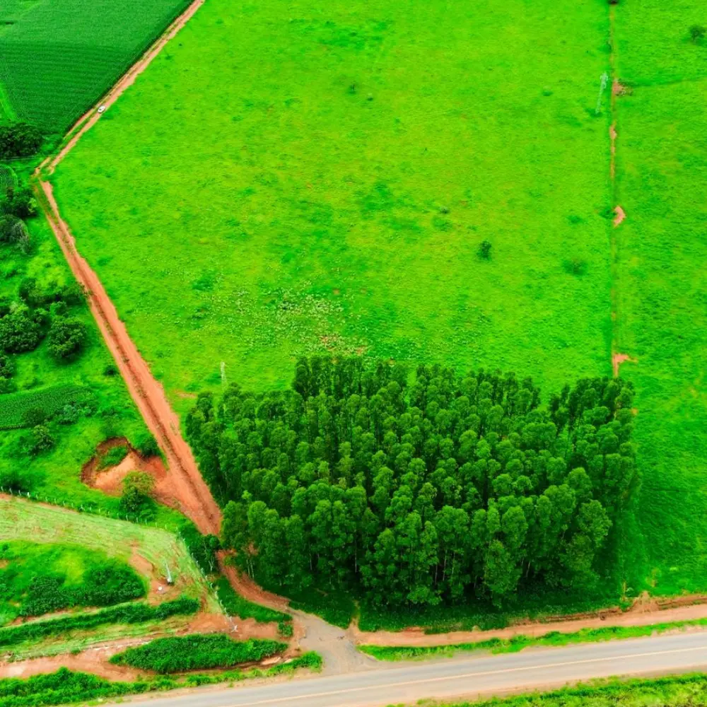 Design sem nome – 2026-02-06T085853.421