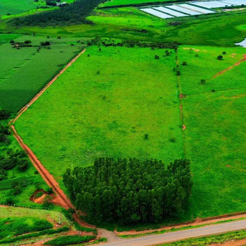 Design sem nome – 2026-02-06T085908.441