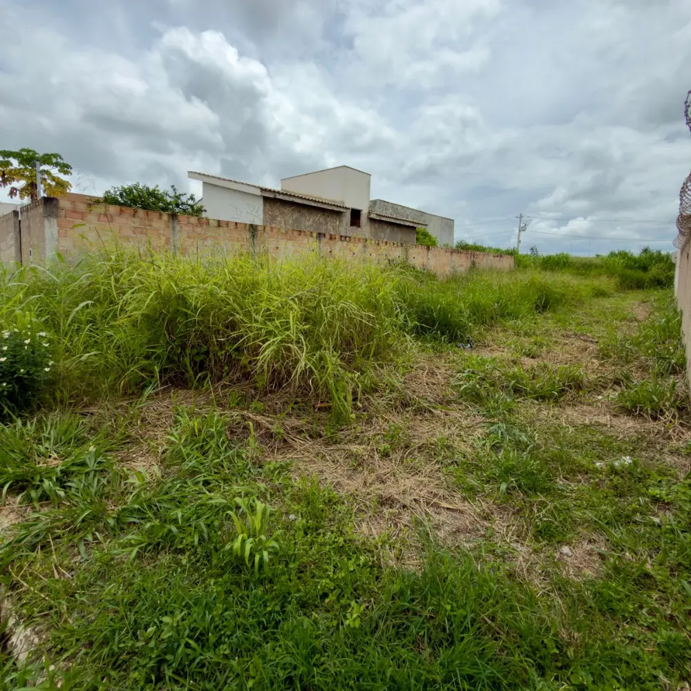 Design sem nome – 2026-02-06T091720.246