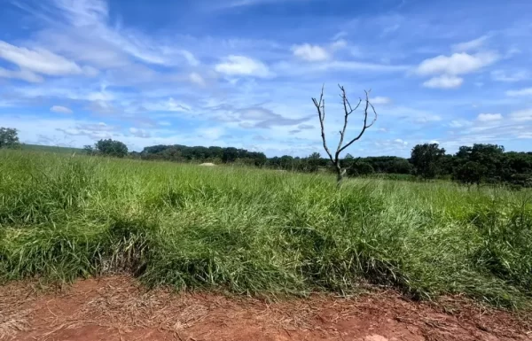 Design sem nome – 2026-03-03T130116.255