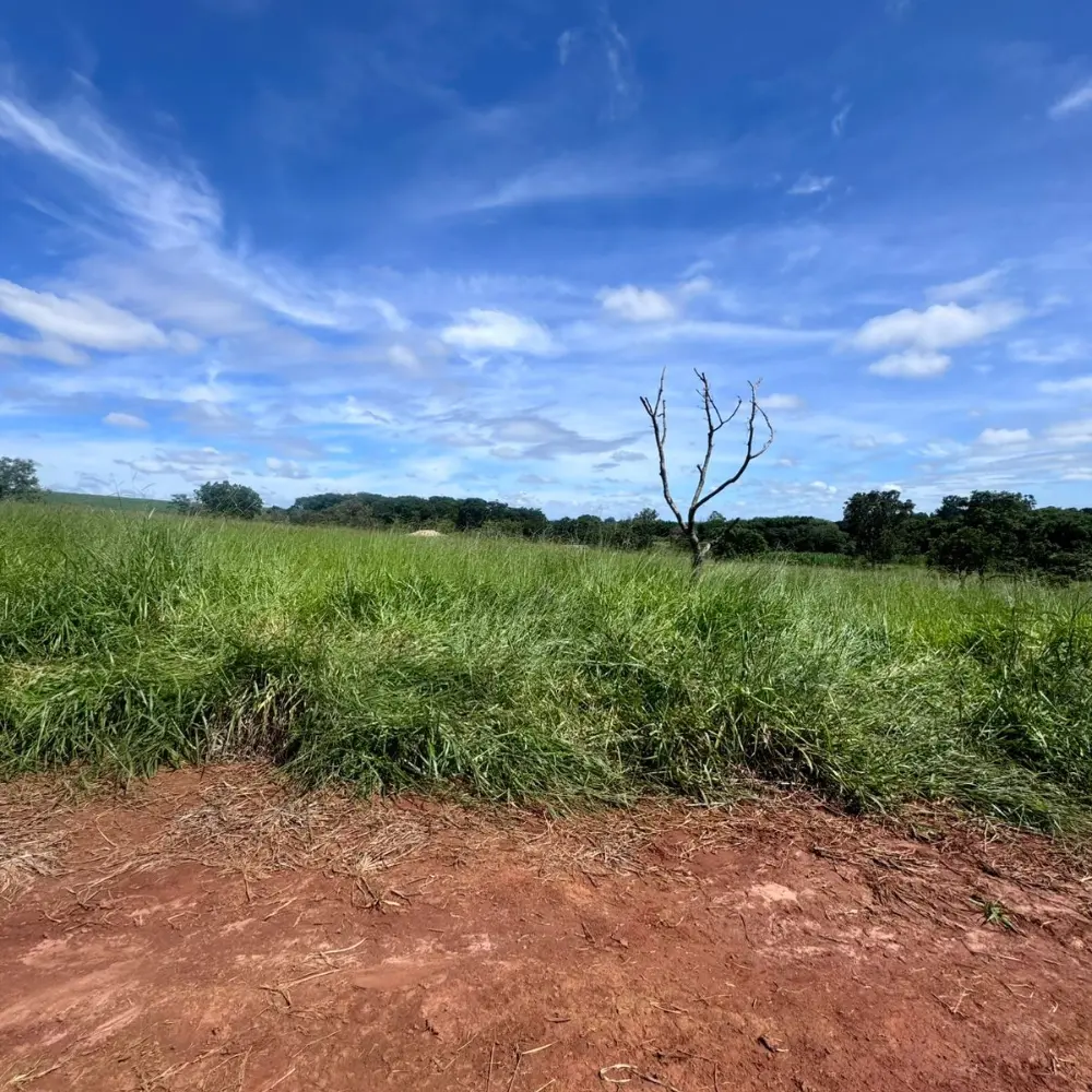 Design sem nome – 2026-03-03T130116.255