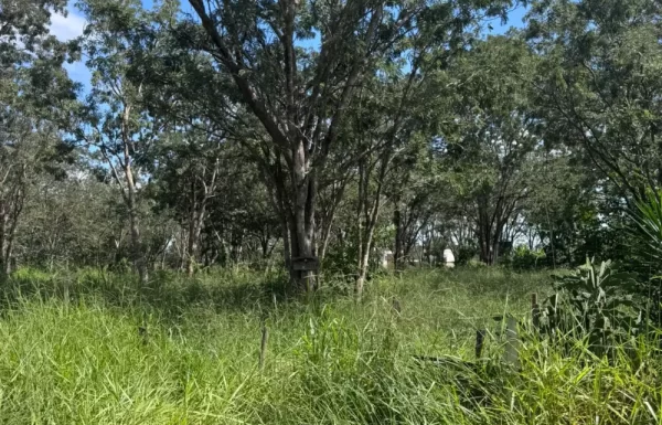 Design sem nome – 2026-03-03T134953.880