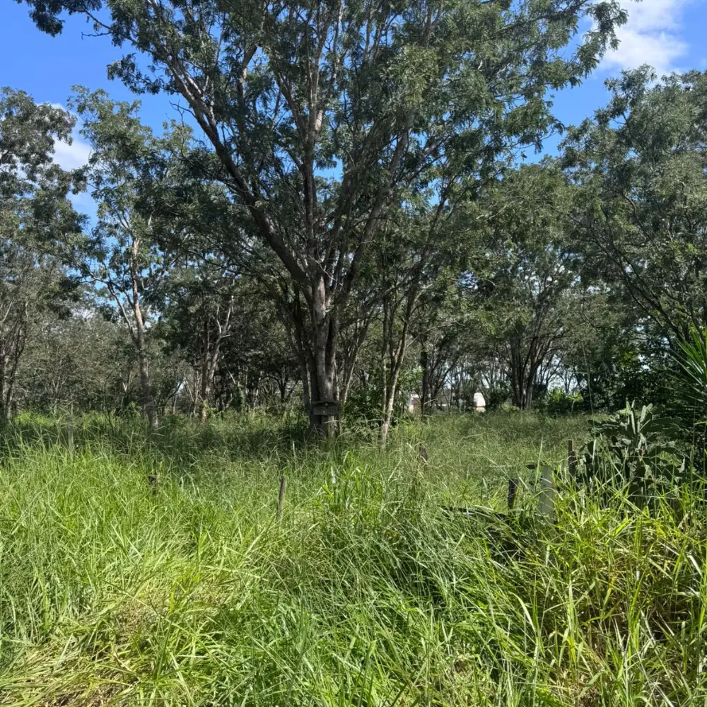 Design sem nome – 2026-03-03T134953.880