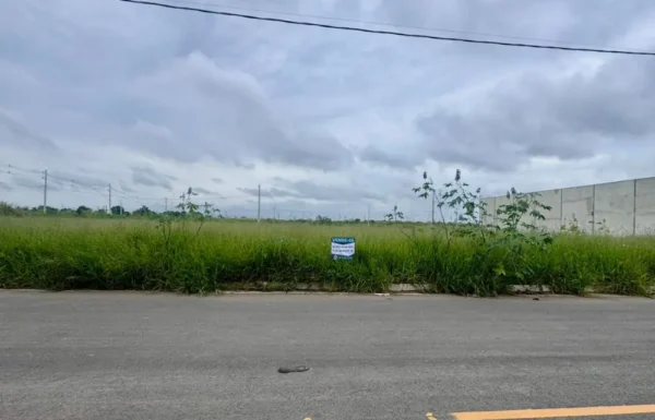 Design sem nome – 2026-03-17T105153.923