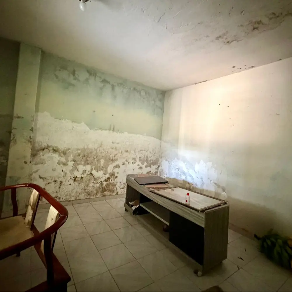 Design sem nome – 2026-06-17T155641.388