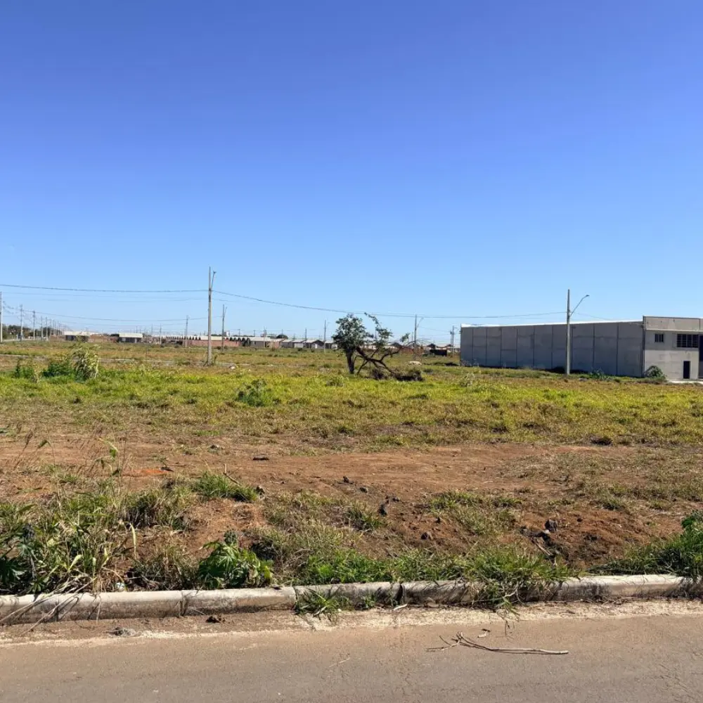Design sem nome – 2026-08-10T165444.020