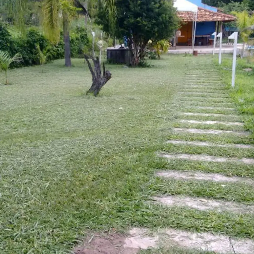 Design sem nome – 2026-09-15T163358.686